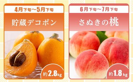 【全6回】極みのフルーツ定期便 (化粧箱入り)