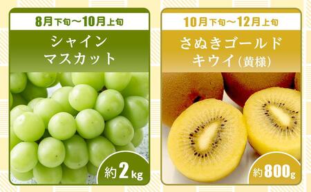 【全6回】極みのフルーツ定期便 (化粧箱入り)