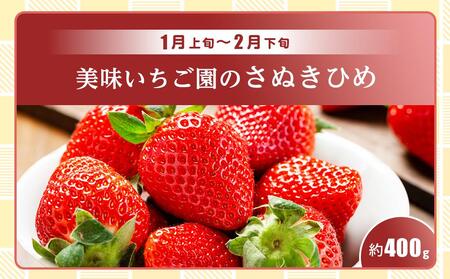 【全3回】極みのフルーツ定期便 (化粧箱入り)