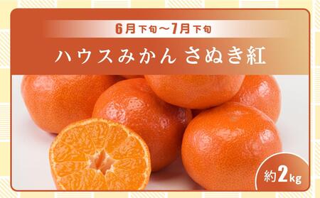 【全3回】極みのフルーツ定期便 (化粧箱入り)
