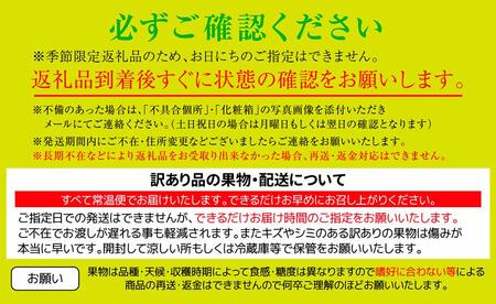 訳あり しらぬい (不知火) 約5kg サイズおまかせ