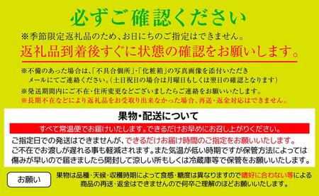 小原紅早生みかん （約5kg）化粧箱（S～Lサイズ）