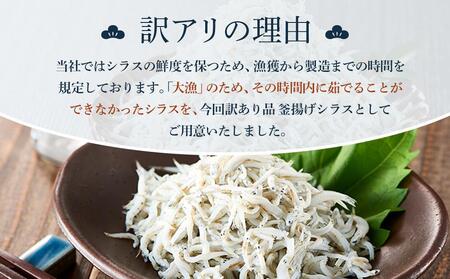 釜揚げ しらす(訳あり)1.0kg(200g×5P)【12月発送予定】