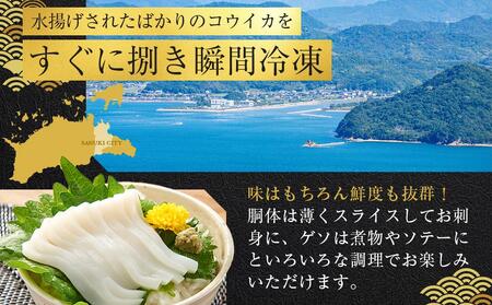 天然コウイカ 約500g イカ いか | いか いか いか いか いか