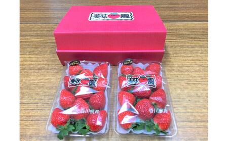 【全3回】美味いちご園のさぬきひめいちご定期便