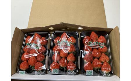 【全3回】美味いちご園のさぬきひめいちご定期便
