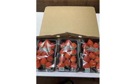 【全3回】さぬき市厳選フルーツ定期便