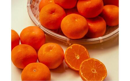 【全3回】さぬき市厳選フルーツ定期便