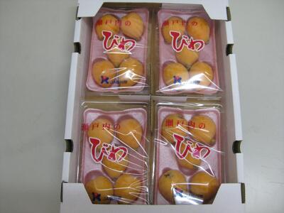 香川のびわ 「なつたより」約1kg 5月下旬頃~発送