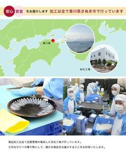 あおりいか天ぷら300g×2パック