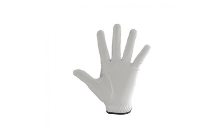 数量限定 人工スウェードゴルフグローブ 22cm (1枚)左手用