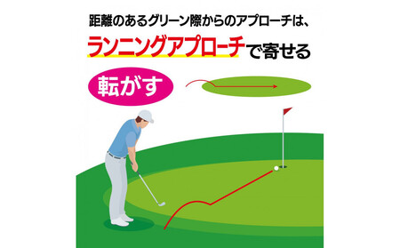 ゴルフクラブ ドルフィンウェッジ DW-225 レディース カーボンシャフト ロフト角39° キャスコ kasco