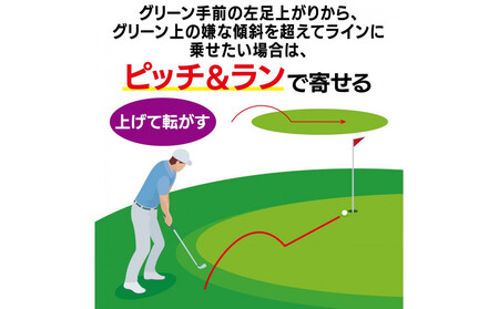 ゴルフクラブ ドルフィンウェッジ DW-225 レディース カーボンシャフト  ロフト角48° キャスコ kasco