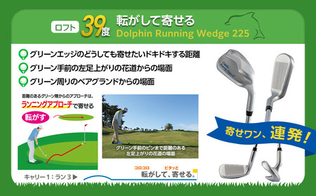 ゴルフクラブ ドルフィンウェッジ DW-225 メンズ スチールシャフト ロフト角39° キャスコ kasco