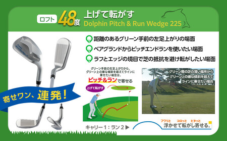 ゴルフクラブ ドルフィンウェッジ DW-225 メンズ スチールシャフト  ロフト角48° キャスコ kasco