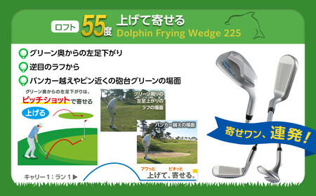 ゴルフクラブ ドルフィンウェッジ DW-225 メンズ スチールシャフト  ロフト角55° キャスコ kasco