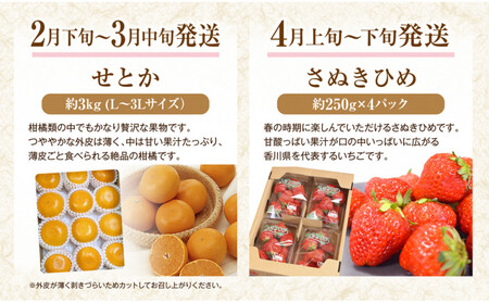 【定期便全12回】香川県さぬき市 フルーツ厳選定期便