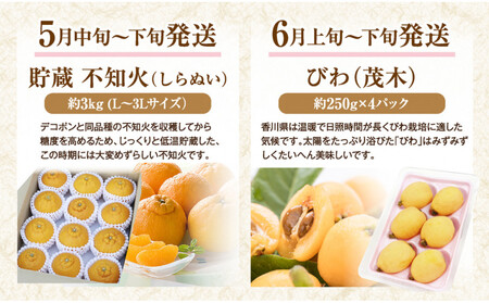 【定期便全12回】香川県さぬき市 フルーツ厳選定期便