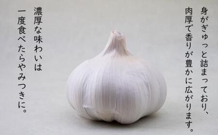 【5月上旬頃～発送】にんにく 国産 香り際立つ 生にんにく 2kg (バラ詰め）