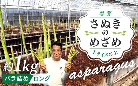 【2月中旬頃～発送】さぬきのめざめロング 春芽 1kg バラ詰め