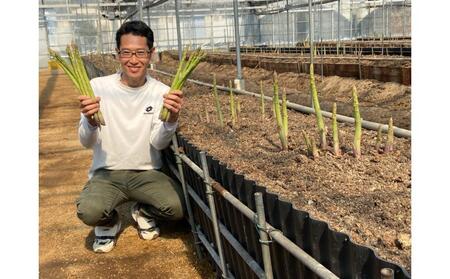 【2月中旬頃～発送】さぬきのめざめロング 春芽 1kg バラ詰め