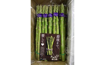 【3月中旬頃～発送】さぬき市産 アスパラガス さぬきのめざめ 春芽 1kg
