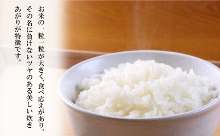 お米 10kg 国産米 香川 にじのきらめき米 にじのきらめき 香川県さぬき市 ふるさと納税サイト ふるなび