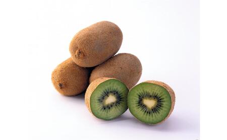 【11月下旬頃～発送】キウイフルーツ 香緑 (こうりょく) 約1.5kg 化粧箱入り