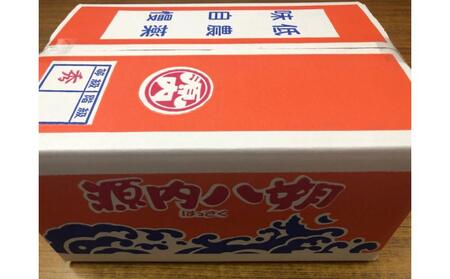 【3月中旬頃～発送】八朔 約10kg 宮本果樹園 源内八朔