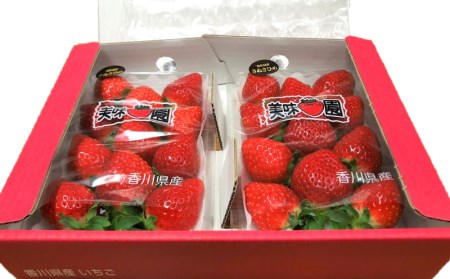 いちご 苺 さぬきひめ 約1kg 270g×2パック×2箱 【2月以降発送】
