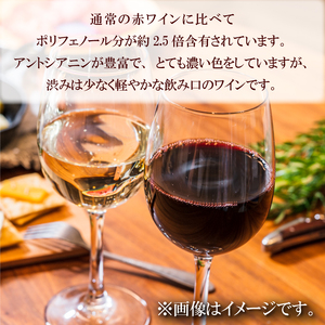赤ワイン 12本 セット ワイン 飲み比べ ワイン 国産 ワイン 日本ワイン 酒 ワイン 3年代分 ワイン ソヴァジョーヌ・サヴルーズ ワイン ぶどう ワイン 葡萄 ワイン 香川県 ワイン さぬき市 ワイン さぬきワイナリー ワイン 取り寄せ ワイン ポリフェノール ワイン 日本 ワイン 国産 ワイン 辛口 ワイン