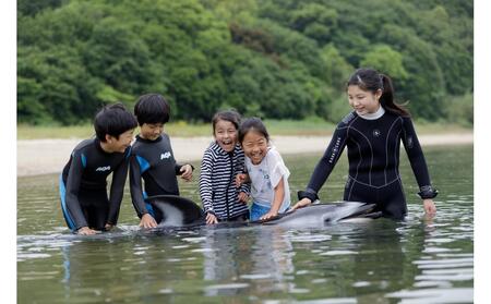 ふれあいビーチ体験 ペア 入場券付き【体験 イルカ ドルフィン 日本ドルフィンセンター 香川県 さぬき市】