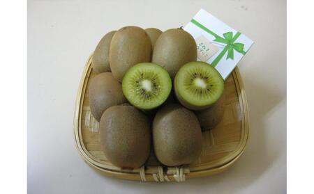 【11月上旬頃～発送】さぬきキウイっこ 約2kg (約40～80玉)