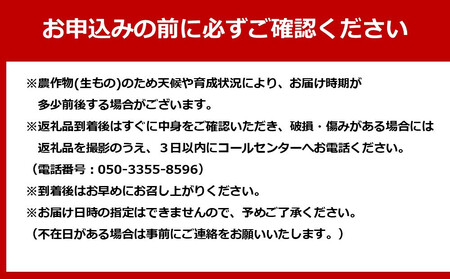【11月上旬頃～発送】さぬきキウイっこ 約2kg (約40～80玉)