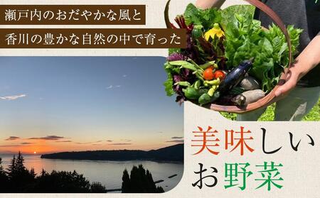 特別栽培 旬の採れたて お野菜 7～10種類詰め合わせセット TAGATAME タガタメ【野菜 特別栽培 栽培期間中農薬不使用 採れたて さぬき市】