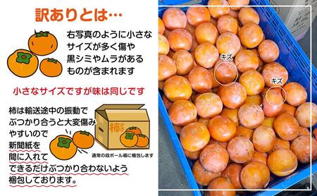 訳あり 富有柿 約3kg(約8個～15個)【柿 かき カキ さぬき市産 数量限定】