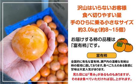 訳あり 富有柿 約3kg(約8個～15個)【柿 かき カキ さぬき市産 数量限定】