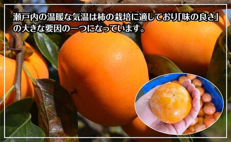 訳あり 富有柿 約3kg(約8個～15個)【柿 かき カキ さぬき市産 数量限定】