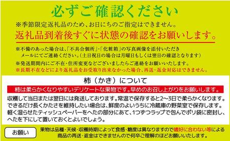 訳あり 富有柿 約3kg(約8個～15個)【柿 かき カキ さぬき市産 数量限定】