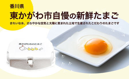 東かがわ市のたまご「鶏卵Mサイズ(10個×3P)」 新鮮卵 卵料理 食材 料理 調理 グルメ 玉子かけご飯 TKG