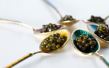 瀬戸内キャビア 15g・25g 各1個 魚貝類 加工品 