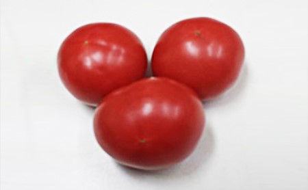 温暖な気候で育った「大玉トマト」