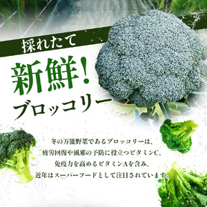 16farmの新鮮ブロッコリー 約1.8kg（6～8個） ブロッコリー 野菜 やさい 新鮮 東かがわ