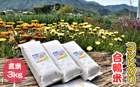 香川県産コシヒカリ（自然農法 合鴨米 3kg）玄米