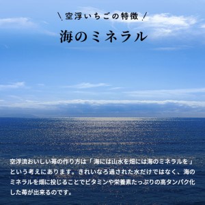 空浮いちご 8パック「北海道・沖縄・離島へのお届け不可」