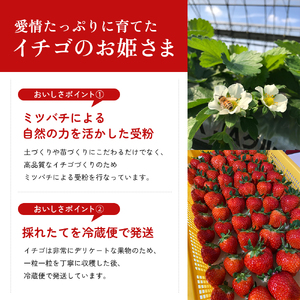 香川県オリジナル品種！　ご家庭用さぬきひめ苺　6パック