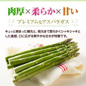 アスパラガス【さぬきのめざめ】訳あり品　約1kg