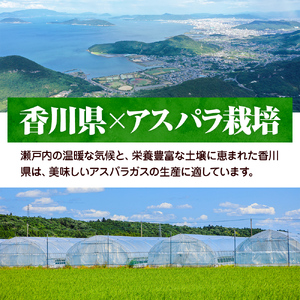 アスパラガス【さぬきのめざめ】訳あり品　約1kg