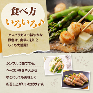 アスパラガス【さぬきのめざめ】訳あり品　約1kg