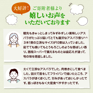 アスパラガス【さぬきのめざめ】訳あり品　約1kg